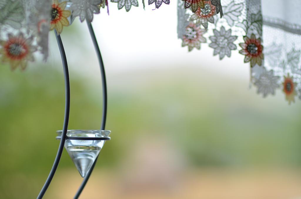 Valea Drăganului 诗歌旅馆酒店 客房 照片