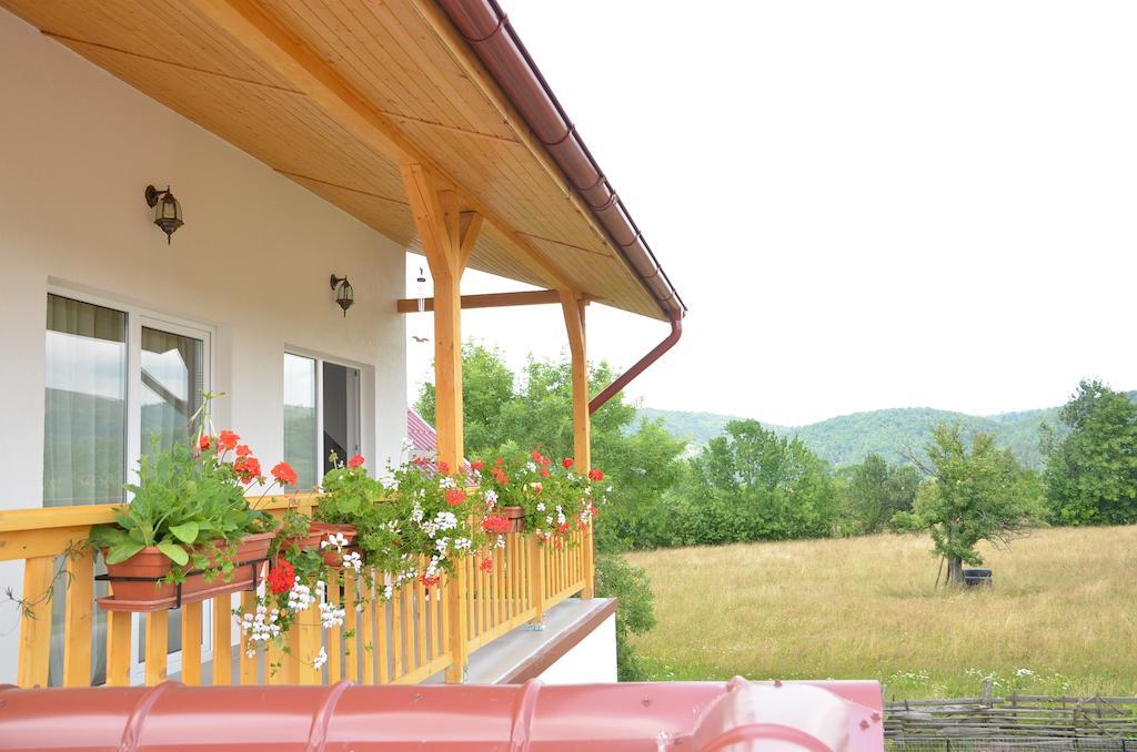 Valea Drăganului 诗歌旅馆酒店 外观 照片