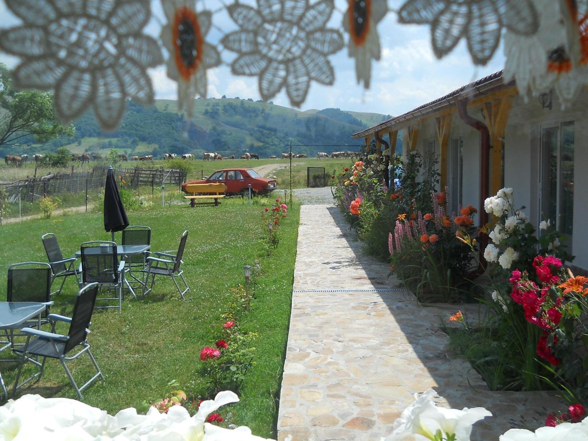 Valea Drăganului 诗歌旅馆酒店 外观 照片
